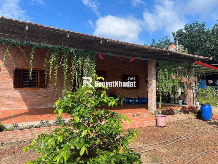 Kinh doanh thua lỗ bán nhanh nhà 2290m2 đất sổ riêng gần ngay khu công nghiệp đang hoạt động. Giá 380tr